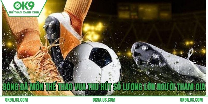 Bóng đá môn thể thao vua thu hút số lượng lớn người tham gia