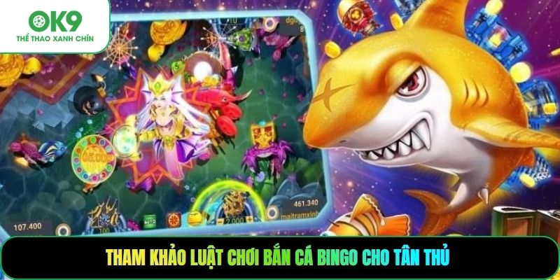 Tham khảo luật chơi bắn cá Bingo cho tân thủ