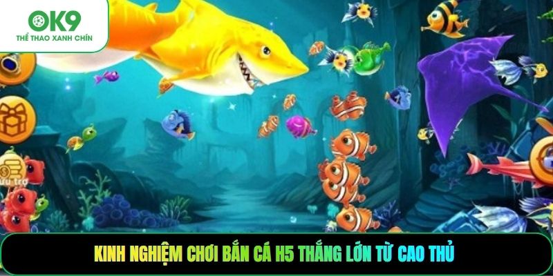 Kinh nghiệm chơi bắn cá H5 thắng lớn từ cao thủ
