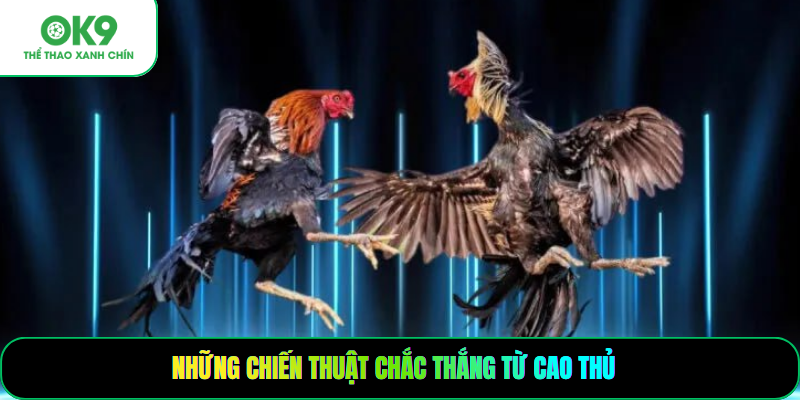 Những chiến thuật chắc thắng từ cao thủ 