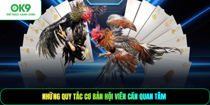 Những quy tắc cơ bản hội viên cần quan tâm