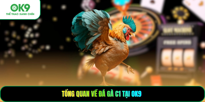 Tổng quan về đá gà C1 tại OK9