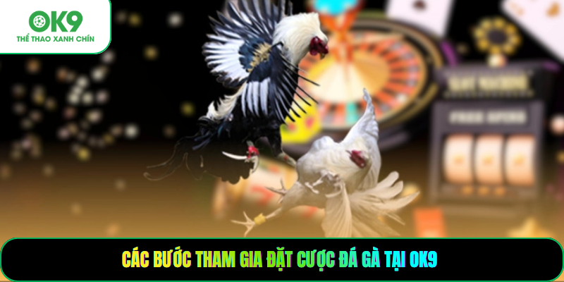 Các bước tham gia đặt cược đá gà tại OK9