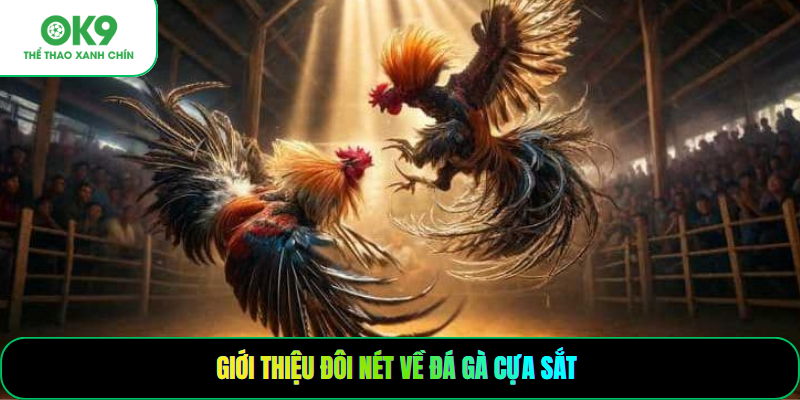 Giới thiệu đôi nét về đá gà cựa sắt