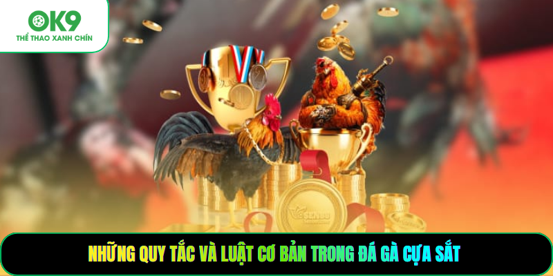 Những quy tắc và luật cơ bản trong đá gà cựa sắt