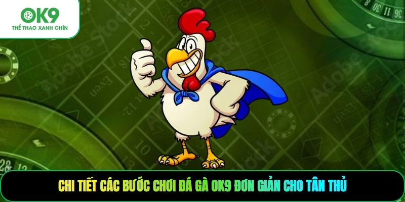 Chi tiết các bước chơi đá gà OK9 đơn giản cho tân thủ