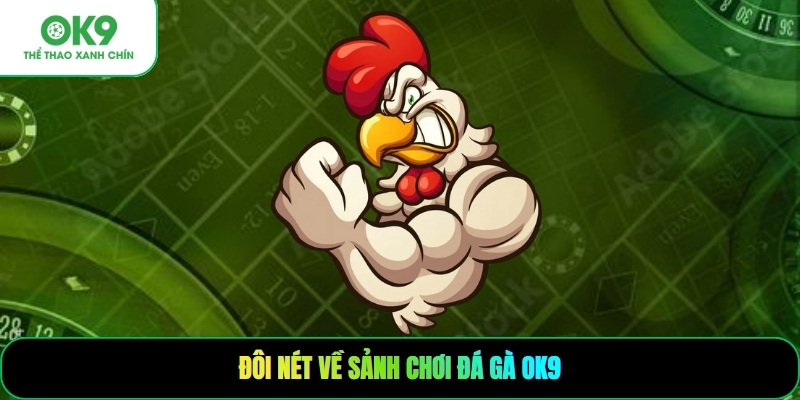 Đôi nét về sảnh chơi đá gà OK9