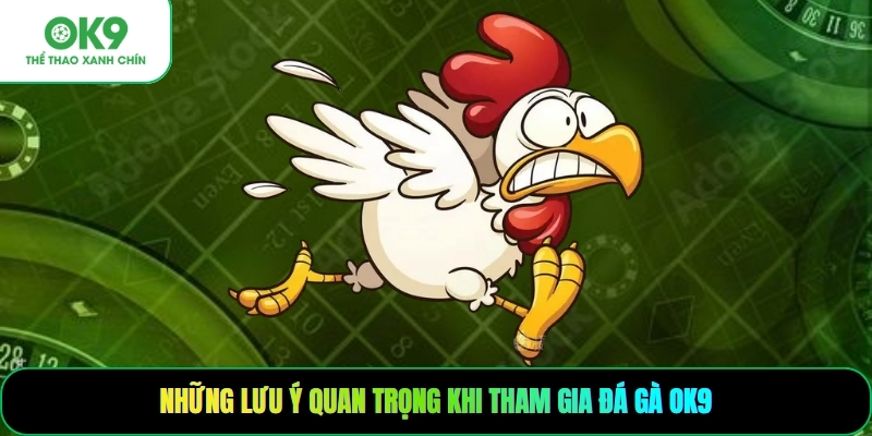 Những lưu ý quan trọng khi tham gia đá gà OK9