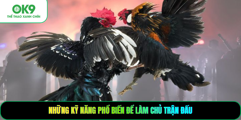 Những kỹ năng phổ biến để làm chủ trận đấu
