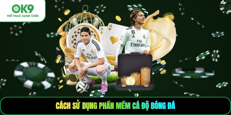 Cách sử dụng phần mềm cá độ bóng đá